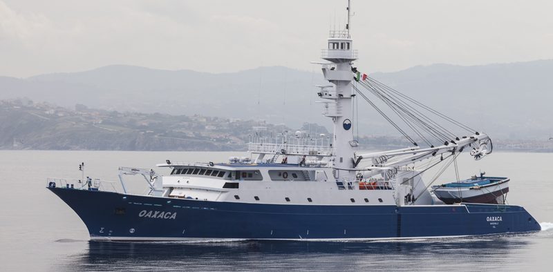 BREXIT BONANZA FOR FISHERIES