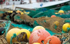 Fishing industry stands to gain hugely from Brexit
