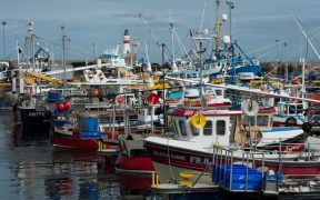 Call for fishing fleet to shed light on state of the industry