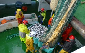 Scotland’s mackerel and herring fishermen