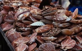 Dispute over Scallop fishing rights