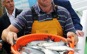 SCOTS MACKEREL AND HERRING FISHERS ARE AT THE FOREFRONT OF SUSTAINABILITY