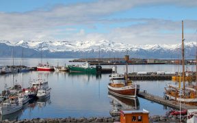 ISI ACQUIRES SOLO SEAFOOD EHF