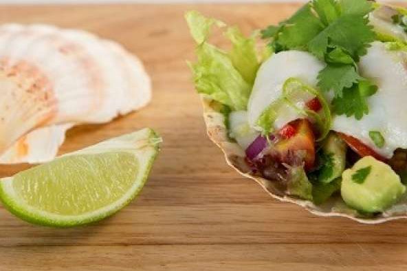 SCALLOP CEVICHE