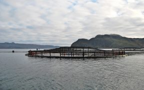 New Study Highlights Importance of Salmon Farming