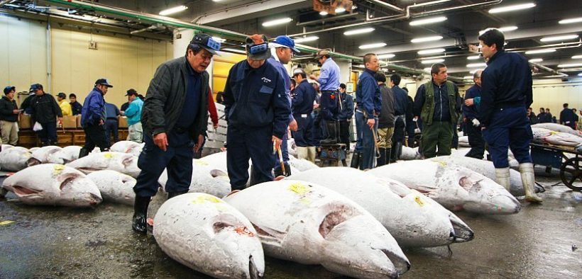 Tsukiji seafood market relocates