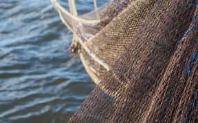 VELLA URGES FOR SUSTAINABLE BALTIC FISHING