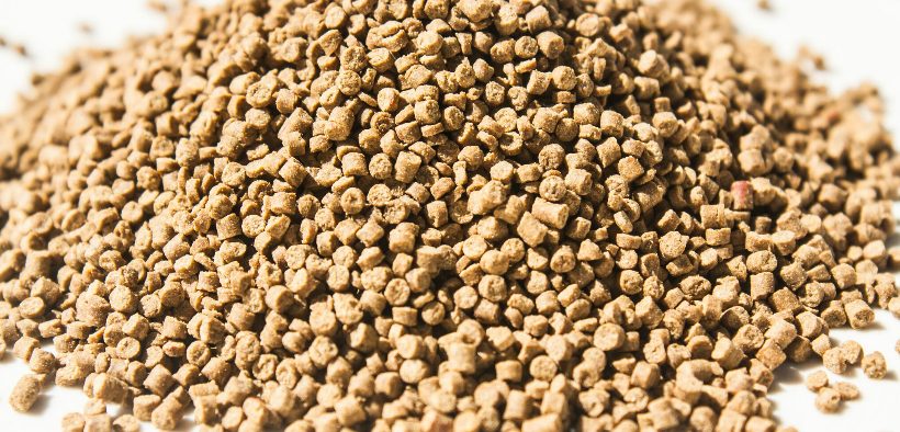 PERMIRA INVESTS IN GROBEST GROUP