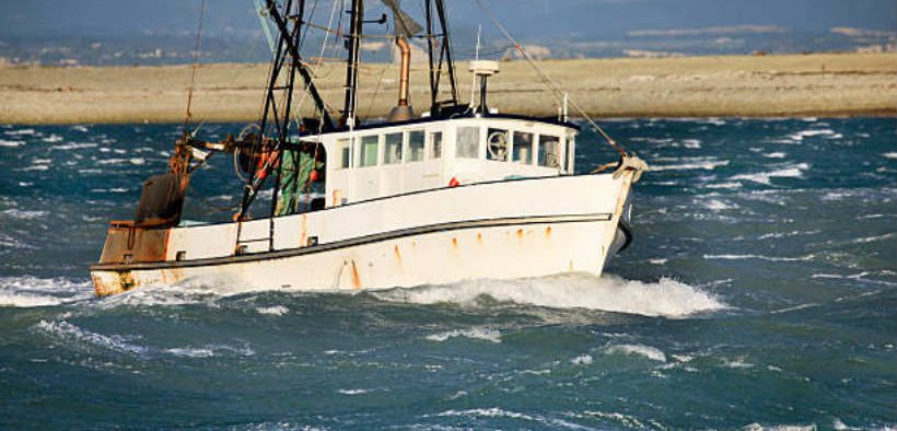 NEW ZEALAND CONSULTATION ON CATCH CHANGES