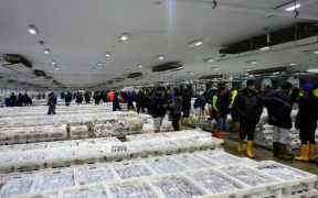 UK FISHERS WELCOME STRENGTHENING OF FISHERIES BILL