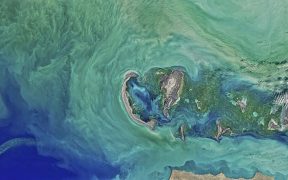 Caspian Sea Sturgeon Ban Extended