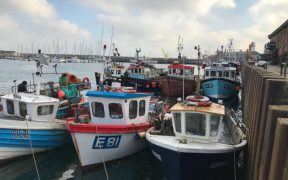 BETTER FISHERIES MANAGEMENT OPPORTUNITY