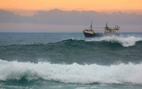INSHORE HARVESTER OF THE YEAR
