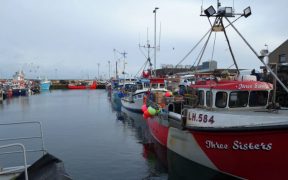 Busy time for Fraserburgh fishing fleet