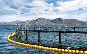 AQUACULTURE AWARDS NOW OPEN FOR ENTRY