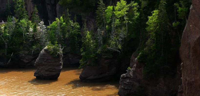CANADIAN GOVERNMENT INVESTS IN COASTAL HABITATS