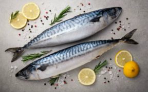 EATING FISH MAY HELP PREVENT ASTHMA