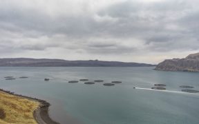SSC LAUNCHES NEW FLAGSHIP FEED BARGE