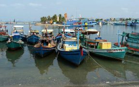 FISHERY PROJECTS GET GO AHEAD IN VIETNAM