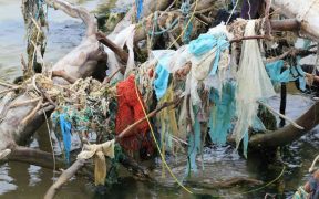 NEW STUDY HIGHLIGHTS PLASTIC DAMAGE TO THE OCEANS