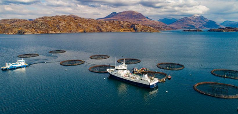 SHIELDAIG FISH FARM DEVELOPER CLAIMS