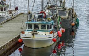 CANADA INVESTS IN FISHING HARBOUR