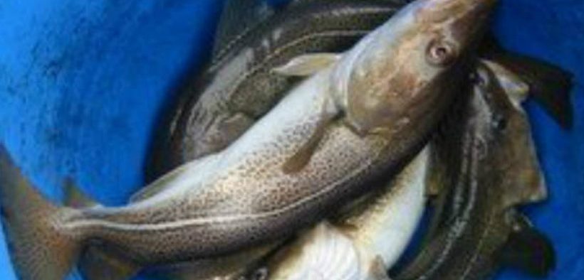 CANADIAN FISHERS CALL FOR ACTION