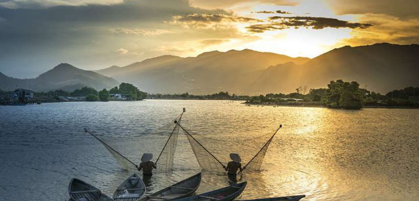 VIETNAMESE FISH CATCHES UP