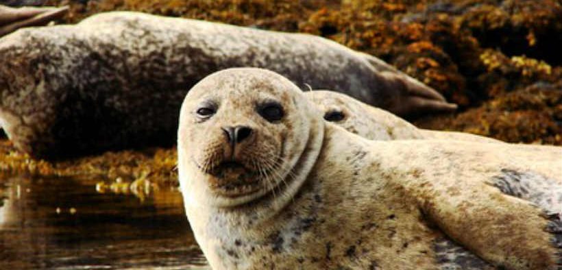 PROPOSALS FOR MANAGEMENT