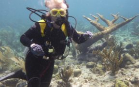 SCIENTISTS RESEARCH CARIBBEAN REEFS