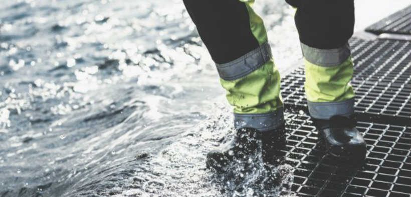 STRONG PERFORMANCE FOR GREIG SEAFOOD