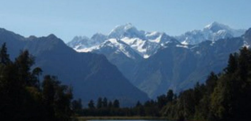 NZ GOVERNMENT TO SUPPORT