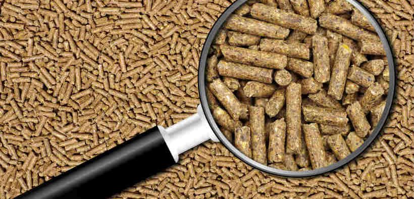 FISH FEED REPORT OVERSIMPLIFIES