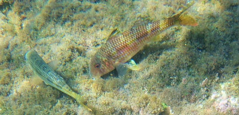 CLIMATE CHANGE IS RESHAPING