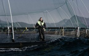 GREIG SEAFOOD COMMITS TO STOP