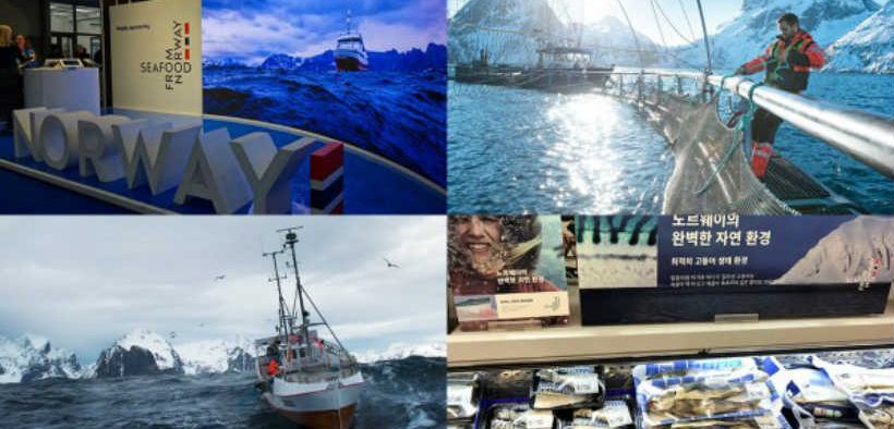NORWEGIAN SEAFOOD EXPORTS TOP