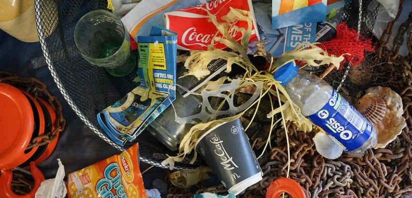 TANDEM BEACH CLEAN UP
