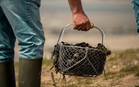 Zero emissions research for mussel farming