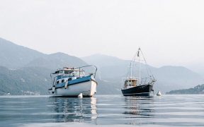 Call for UK sea anglers to help in fisheries management