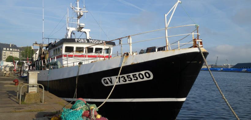 EU FISHING SECTOR OUTLINES