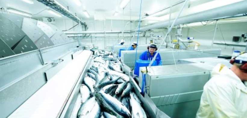 NORWAY WORKING TO SUPPLY SEAFOOD