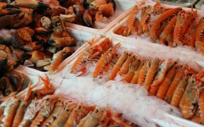 Seafood Expo North America postponed