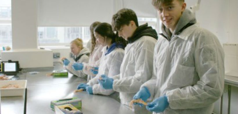 TY STUDENTS SPLASH INTO SCIENCE