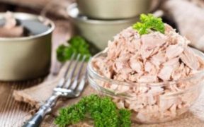 VIETNAM CANNED TUNA EXPORTS