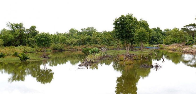 Vietnam shrimp exports to Australia rise