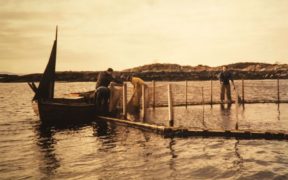 celebrating-50-years-of-modern-aquaculture