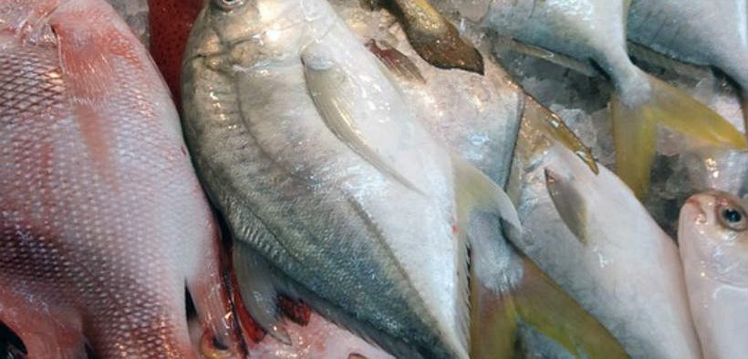 fos-signs-mou-with-IAS