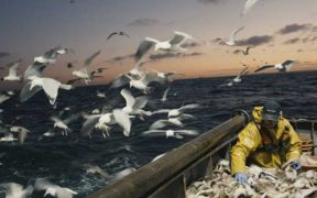 FISHING CREWS URGED TO TURN