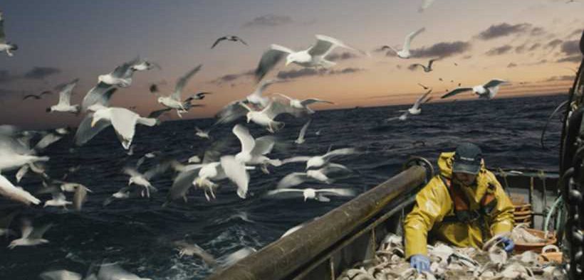 FISHING CREWS URGED TO TURN