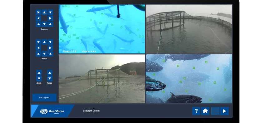 GAEL FORCE LAUNCHES NEW 1